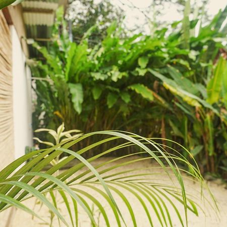 Gala Apts Playa Santa Teresa  外观 照片