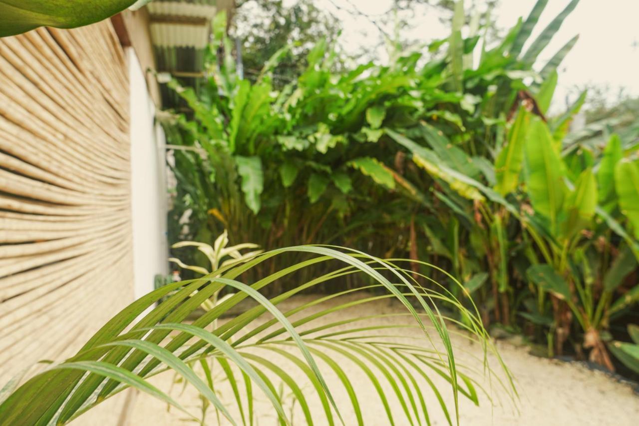 Gala Apts Playa Santa Teresa  外观 照片