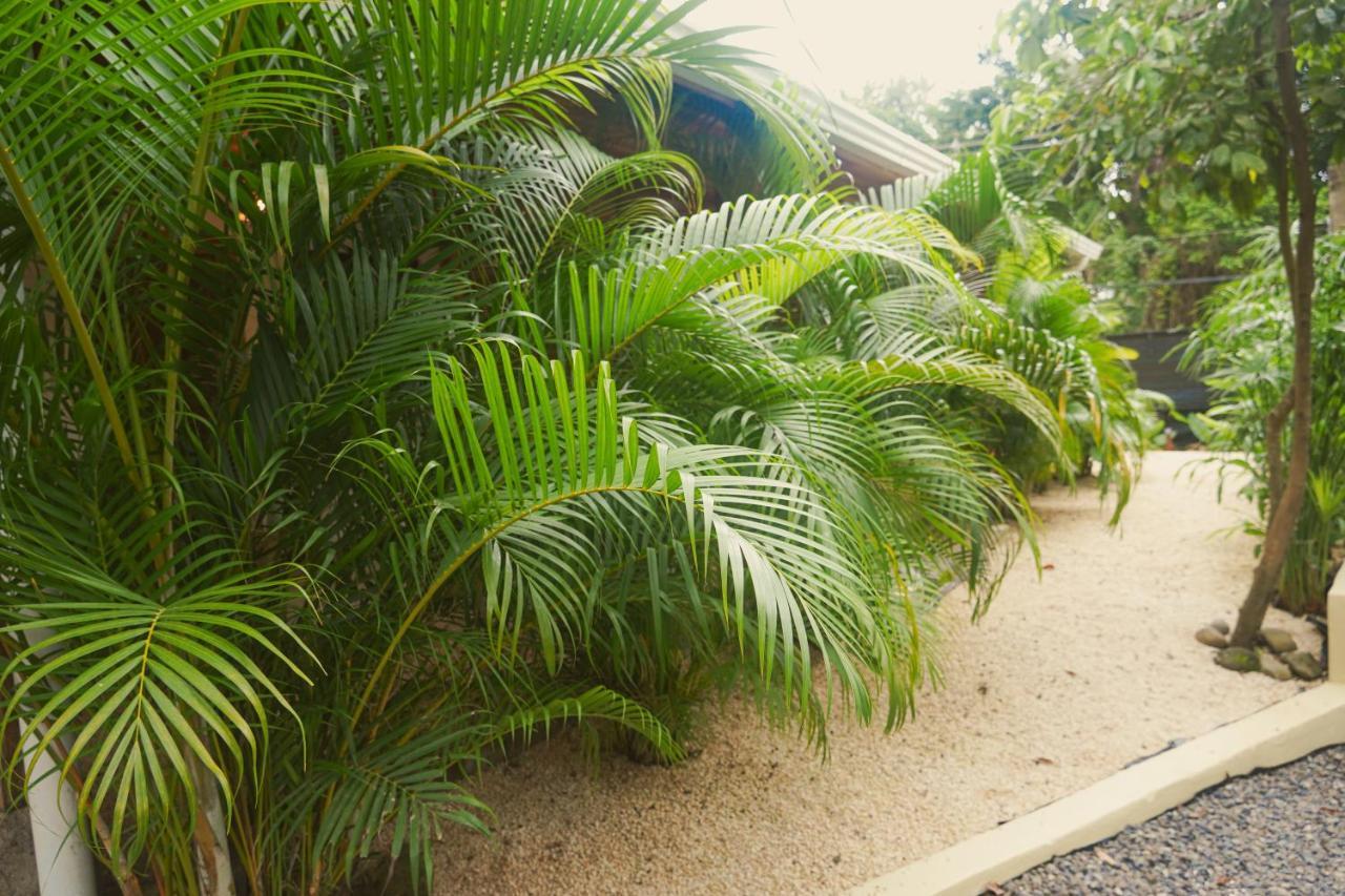 Gala Apts Playa Santa Teresa  外观 照片