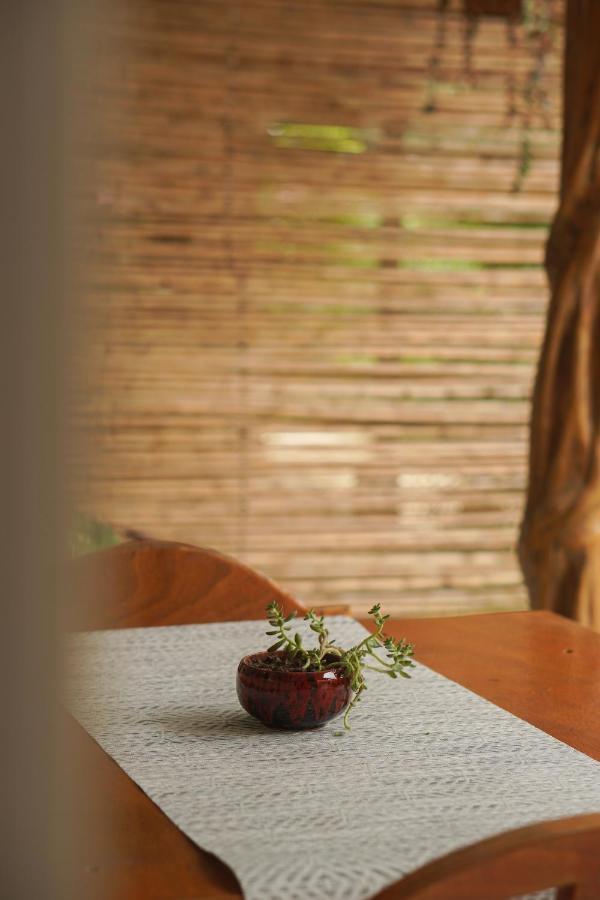 Gala Apts Playa Santa Teresa  外观 照片