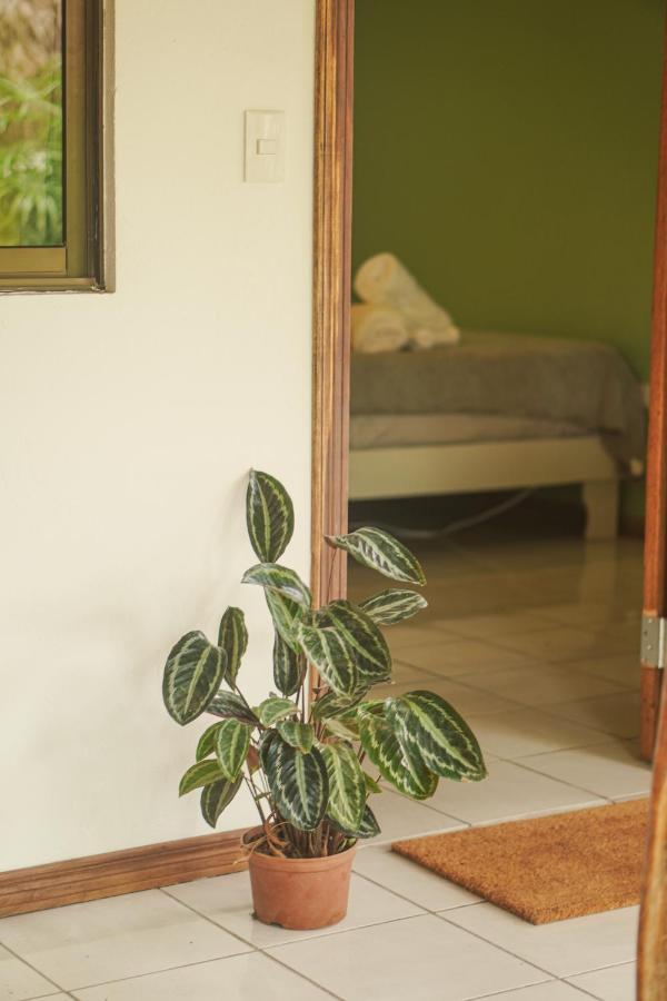 Gala Apts Playa Santa Teresa  外观 照片